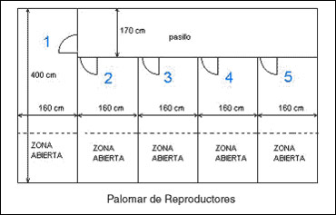 palomar_palomar4