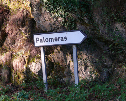 cartel de las palomeras