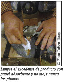 pintar_05 pintar_05