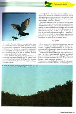 portada-caza-e-pesca0004