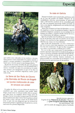 portada-caza-e-pesca0005