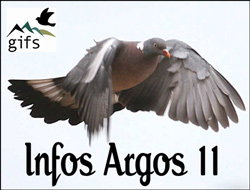 portada_argos_11_artic