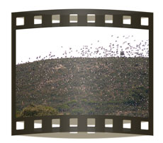 portada_video_3