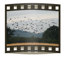 Trailer del video de la temporada 2008-09 grabado en  Extremadura y Portugal