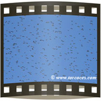 programa de coto abierto del canal extremadura con torcaces.com