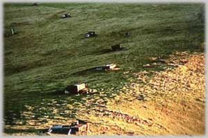 puestos