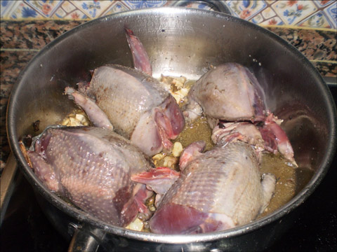 paloma torcaz con arroz y en su salsa