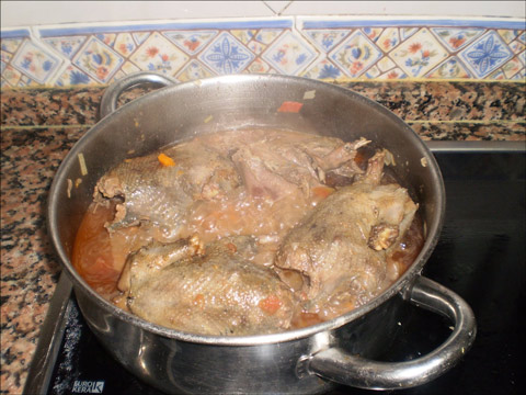 paloma torcaz con arroz y en su salsa