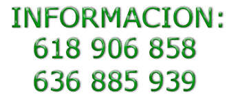 telefonos de contacto