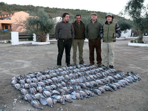 tirada_133_palomas_2007