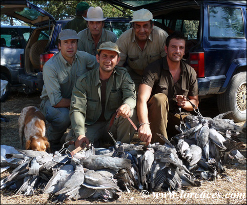 tirada palomas