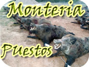 puestos de monteria