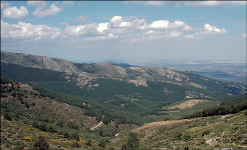 puestos de paso en las palomeras de navafria