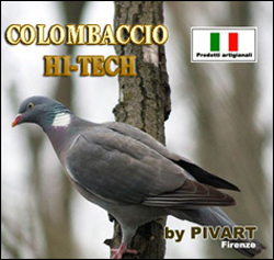 accesorios italia