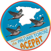 acepat_logo_200