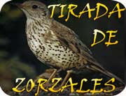 Tirada de Zorzales