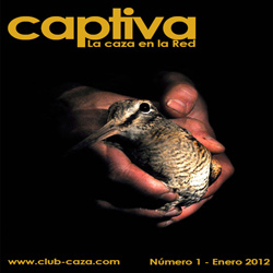 captiva