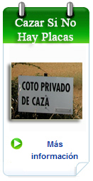 cazar si no hay placas