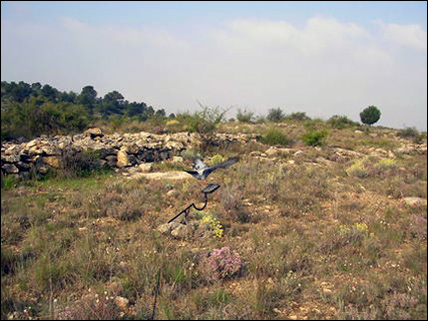 cimbel de suelo