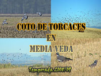 coto_media_veda4