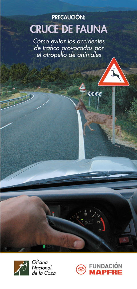 como evitar los accidentes de trafico provocados por el atropello de animales