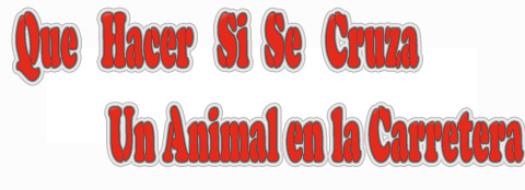 que hacer si se cruza un animal en la carretera