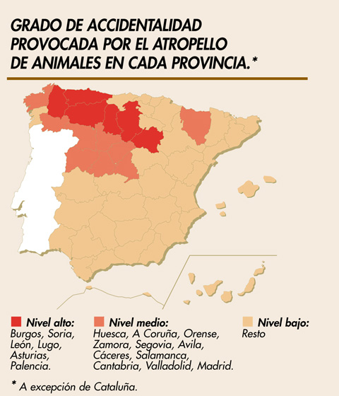 grado de accidentalidad provocada por el atropello de animales en cada provincia