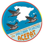 ACEPAT Asociacion de cazadores espa&ntilde;oles de paloma torcaz