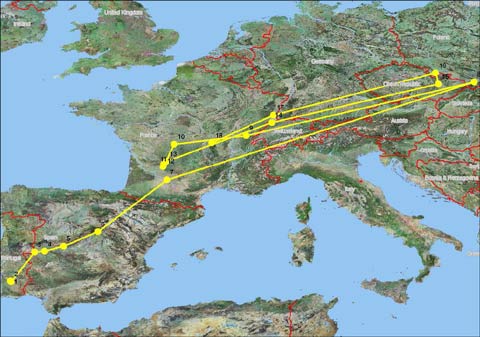 mapa_grosso_13_480