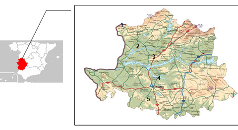 mapa extremadura para el programa de tiradas de zorzales