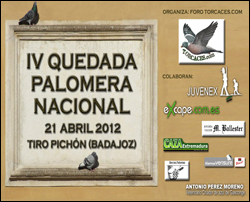 quedada cartel 