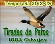 tirada_patos_2012_180