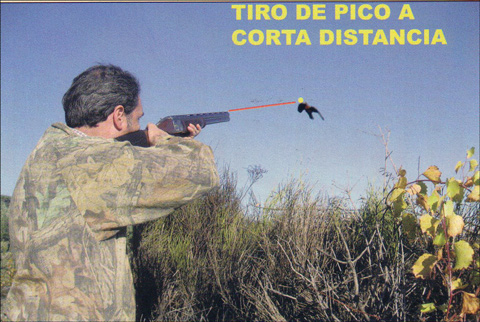 tiro0009