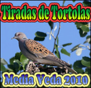 cacerias de tortolas en media veda 2010