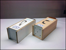 cajones de madera para transportar palomas