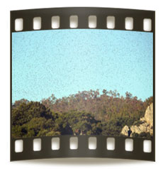 video_